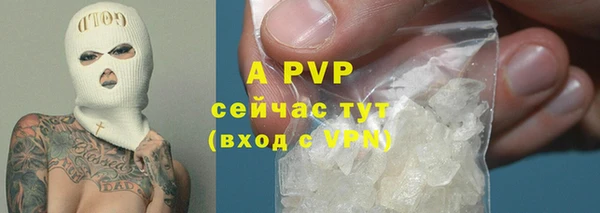 стаф Баксан
