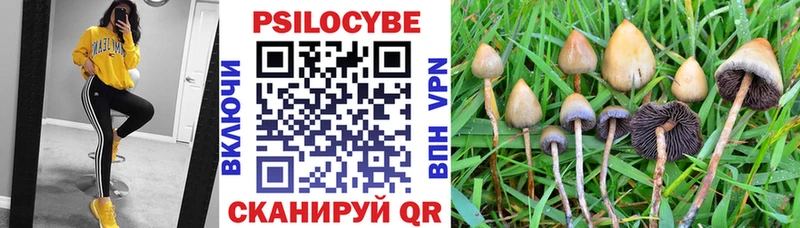 Галлюциногенные грибы прущие грибы цены наркотик Кувшиново