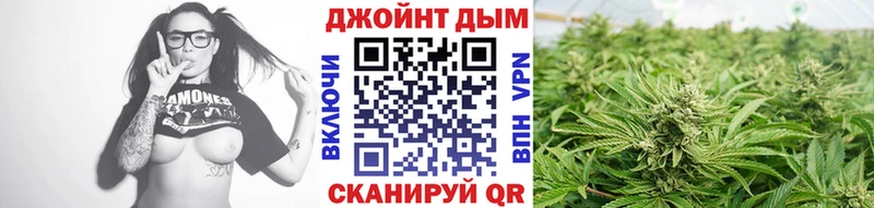 мега ONION  закладки  Кувшиново  Конопля индика 